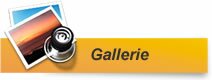 Gallerie