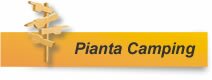 Pianta Camping